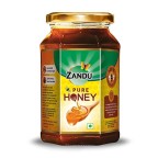 Zandu, PURE HONEY, 500g, No Added Sugar, 100% Purity